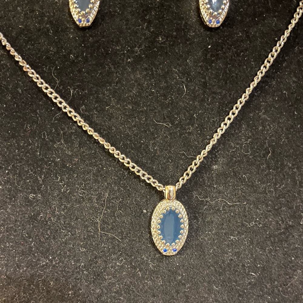 Snake head jewelry set on a silver tone chain with post back earrings 28”